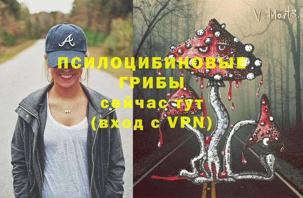 MDMA Premium VHQ Медвежьегорск