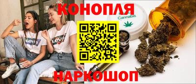 стафф Гусев