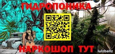 хмурый Гусь-Хрустальный
