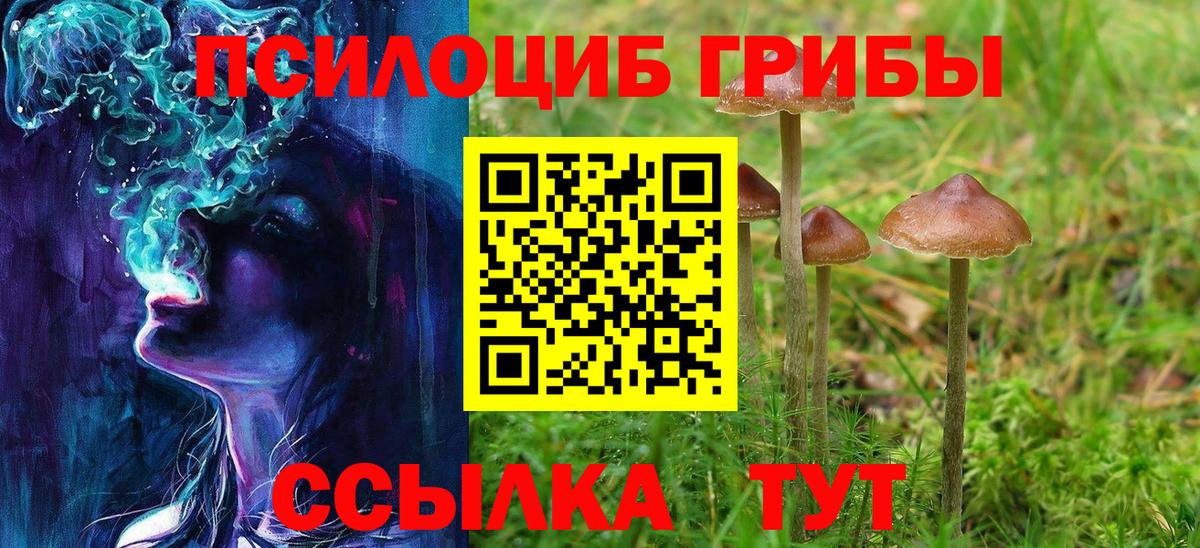 Клинцы  Галлюциногенные грибы Magic Shrooms  Вход с VPN  где найти   Псилоцибиновые грибы мицелий 
