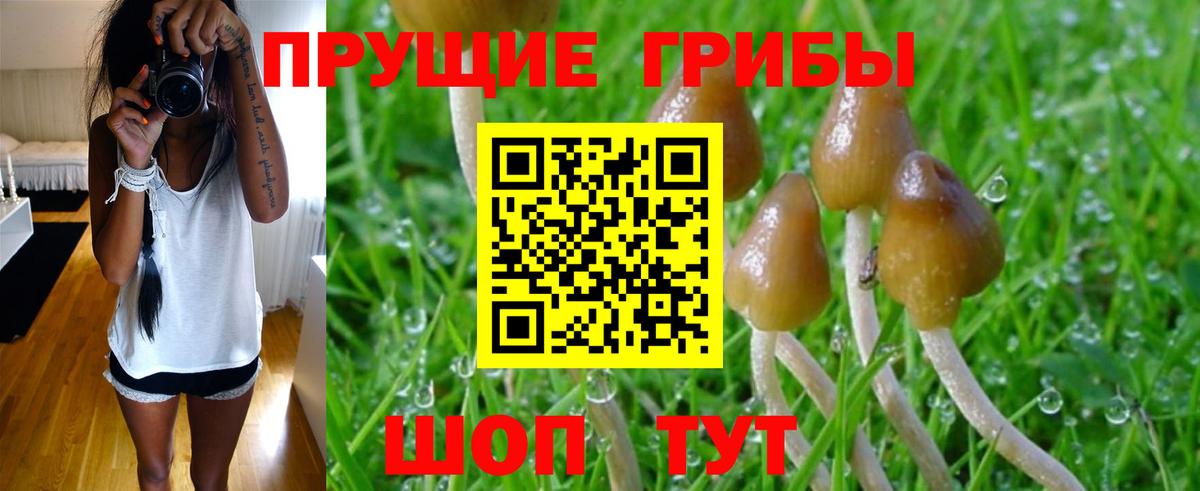 Псилоцибиновые грибы ЛСД Клинцы