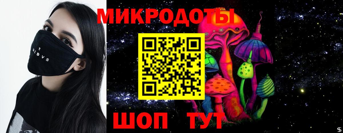 Псилоцибиновые грибы Psilocybine cubensis Клинцы